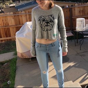 Cropped bulldog sweater {Abercrombie}